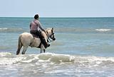man and horse in sea