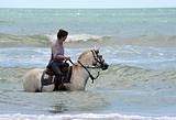 man and horse in sea