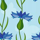 Vector seamless background with cornflowers and butterflies