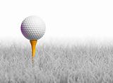 Golf Ball on Tee in White Grass