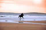silhouette of a horse and rider galloping along shore