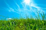 Green Grass With Blue Sky And White Clouds