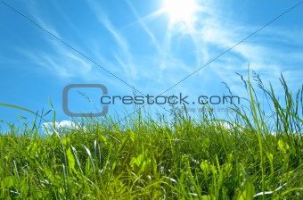 Green Grass With Blue Sky And White Clouds