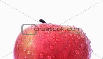 apple with water drops
