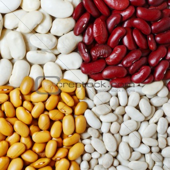 Four types of beans