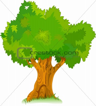 Great old tree for your design