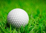 Golf Ball in grass field