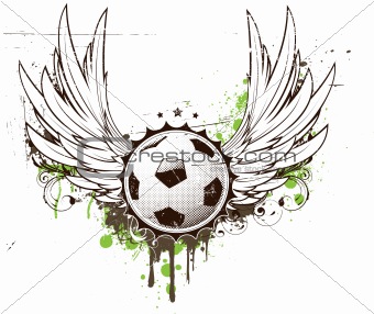  football insignia
