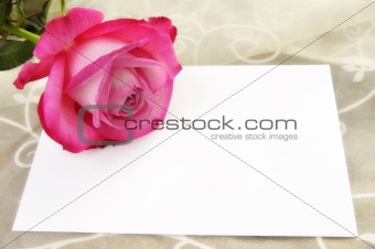Letter with Rose