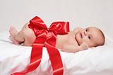 newborn baby in the red bow 