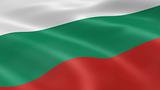 Bulgarian flag in the wind