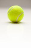 Single Tennis Ball with Slight Reflection on a Gradated Background.