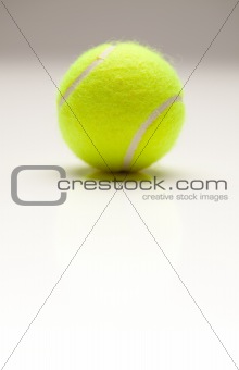 Single Tennis Ball with Slight Reflection on a Gradated Background.