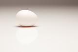 White Egg Isolated on a Gradated Background.