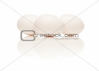 Three White Eggs Isolated on a White Background.