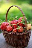 Basket Strawberries