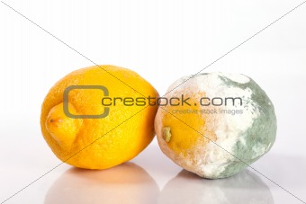 Fresh and rotten lemons