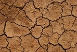 Aridity, parched land after a hot summer
