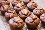 Twelve freshly baked chocolate muffins