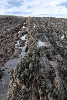 black rock pool seaweed horizon
