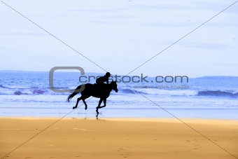 horse and rider silhouette galloping along coast