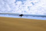horse and rider silhouette galloping along shore