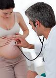 Beautiful pregnant woman examined by her gynecologist