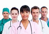 Portrait of a diverse medical team