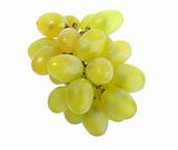 Single bunch of white grape