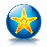 Starfish glossy icon