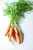 shot of carrots from garden isolated on white