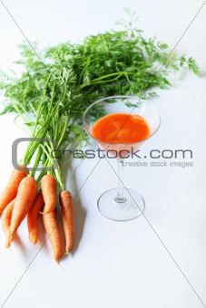 shot of carrots from garden fresh juice