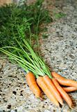 shot of carrots from garden