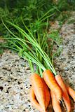 shot of fresh organic carrots