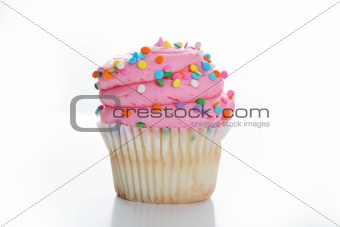 shot of a cupcake with colorful sprinkles