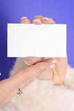 shot of manicured hands in fur coat holding blank business card