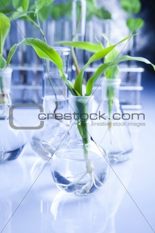 Biochemistry laboratory and glass