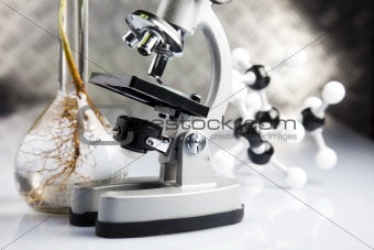 Working in a laboratory