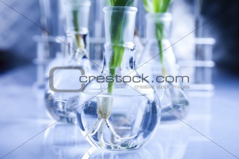 Glass in laboratory