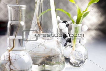 Biochemistry laboratory and glass
