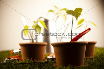 Gardening equipment on green grass with plants