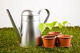 Watering Can And Gardening Tools