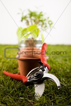 Plant and garden tools