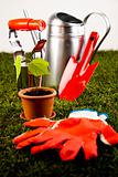 Watering Can and Gardening Gloves
