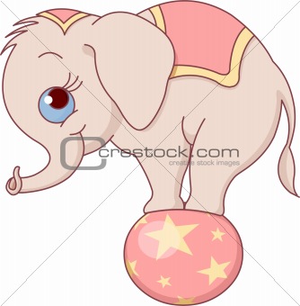 Baby elephant on the ball