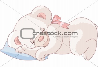 Cute Teddy Bear  sleeping