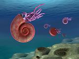 Ammonite seascape
