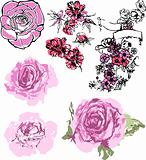 flower illustration in different style