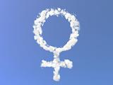 Female symbol from clouds