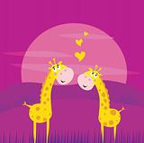 Two yellow african giraffes in love